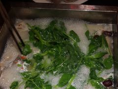 -红鼎坊·老成都火锅(新南门店)