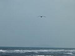 -那香海钻石沙滩浴场