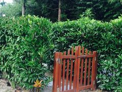 -崇明东平国家森林公园烧烤房车露营地