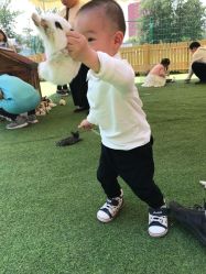 -萌宠亲子动物乐园(槐房万达店)