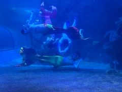 -左海海底世界