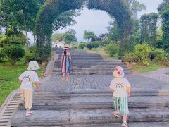 -东莞植物园