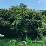 萌宠 | 妞妞和小伙伴们爱去的宠物乐园