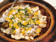 黄椒焗鲟龙鱼-美极鲜食坊(宝安南路店)