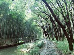 -同里国家湿地公园