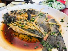 -生态苑农庄(十里画廊遇龙河店)