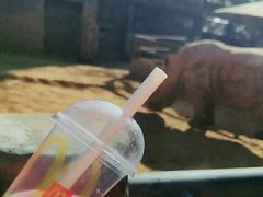 -昆明动物园