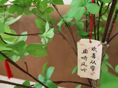 -Reset Coffee 与海咖啡