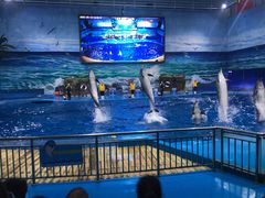 -多彩贵州城极地海洋世界