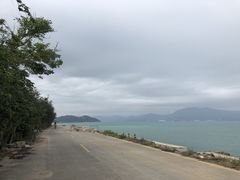 -杨梅坑