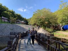 -云岭野山参风景区