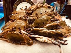-加餐海鲜自助(宝龙一城店)