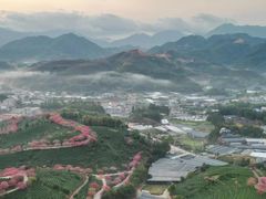 -龙岩森林水乡景区