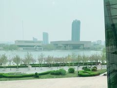 -羲和雅苑•北京烤鸭(乐园道万象城店)