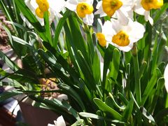 -新梅居(宁海东路店)