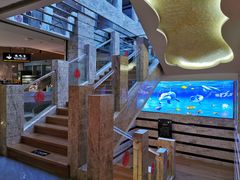 -水立方国际汤泉(六一中路店)