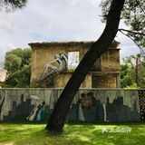 晨游波黑：Mostar 颓垣败瓦上的弹孔与涂鸦
