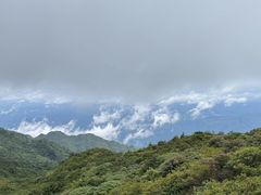 -大围山国家森林公园