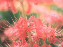 -苏州湾体育公园