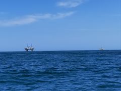 -小猫钓鱼海钓俱乐部(椰梦长廊店)