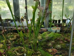 -国家植物园南园