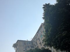 -竹园竹升面(西关总店)