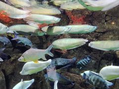 -成都浩海立方海洋公园