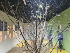-上海大自然野生昆虫馆(东方明珠·爬宠昆虫探索中心)