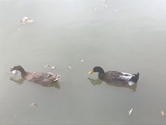 -西安市长乐公园