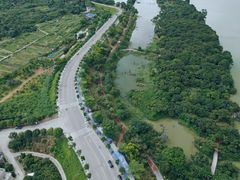 -鹤之洲湿地公园