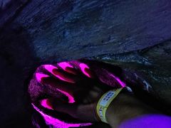 -首钢一高炉·SoReal科幻乐园