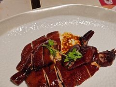 -点都德·毕德寮