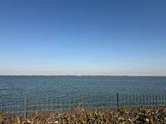 -江滩湿地公园