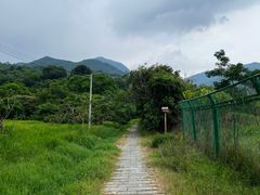 -杨梅坑