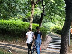 -天鹅湖体育公园