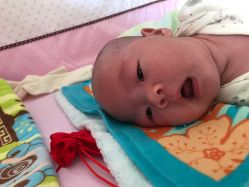 -龙文宝贝上门婴儿理发满月剃胎毛(总店)