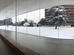 -金泽21世纪美术馆