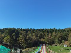 -武陵山森林公园