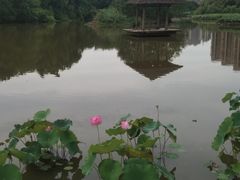 -金山公园