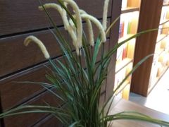 -新华书店(沙坪坝书城店)