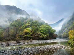 -黑河国家森林公园
