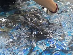 -养牛邓·潮汕牛肉海鲜自助火锅(广州店)