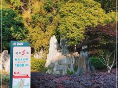 -菊花台公园