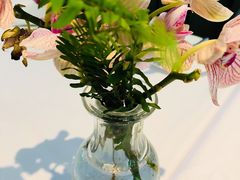 -蝶舍·MAISON PAPILLON