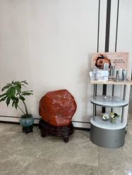 -加减美医美连锁品牌