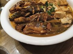 -鸽子窝(青塔店)