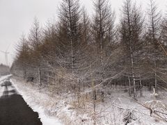 -草原天路(张北县)