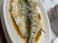 清蒸白水鱼-状元楼(金溪路店)