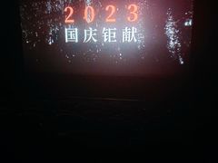-山文星辉影城(青岛和谐广场店)