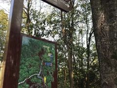 -东莞市大岭山森林公园